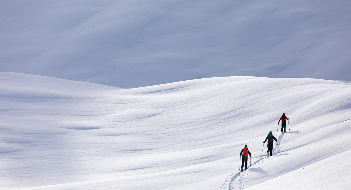 Comment bien choisir ses peaux de phoque pour le ski de randonnée ?