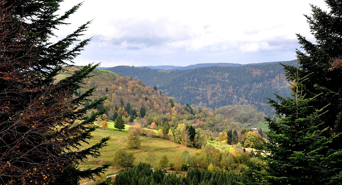 Quand faire de la randonnée dans les Vosges ?