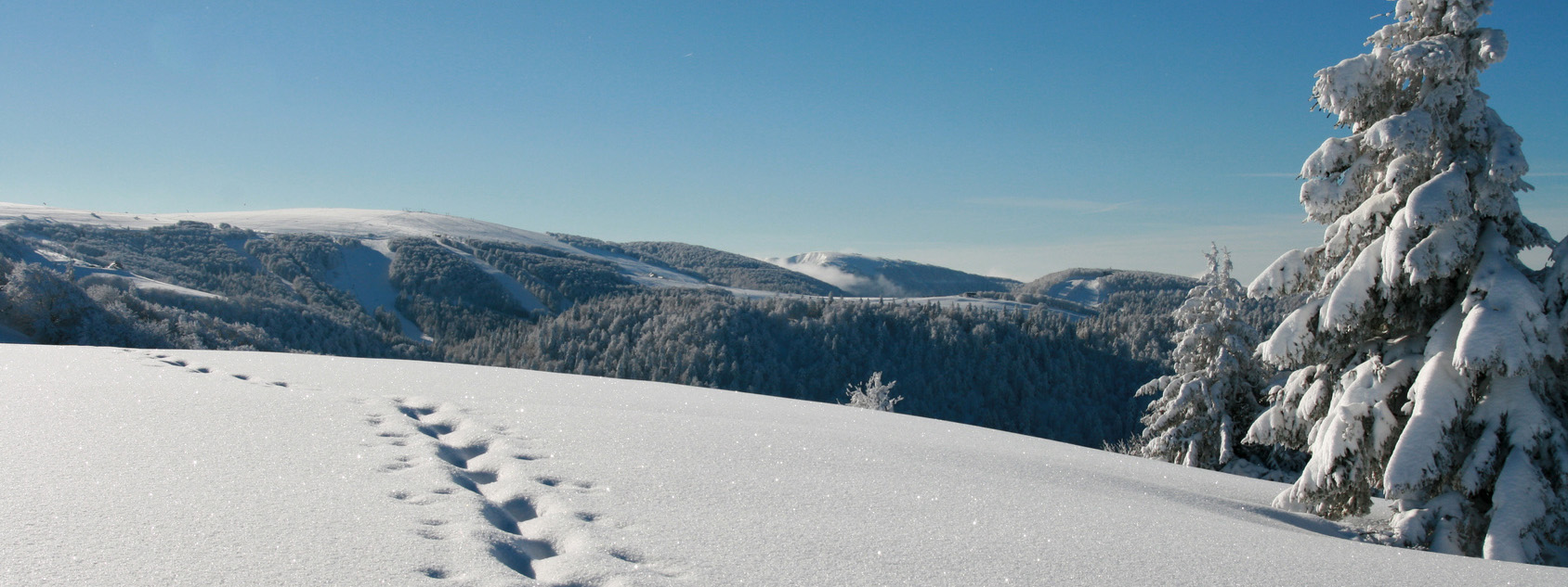 Raquettes à neige dans les Vosges