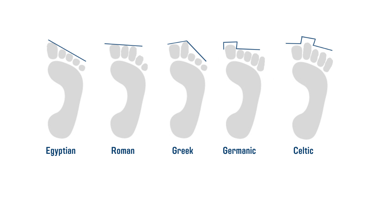 Morphologies and foot types