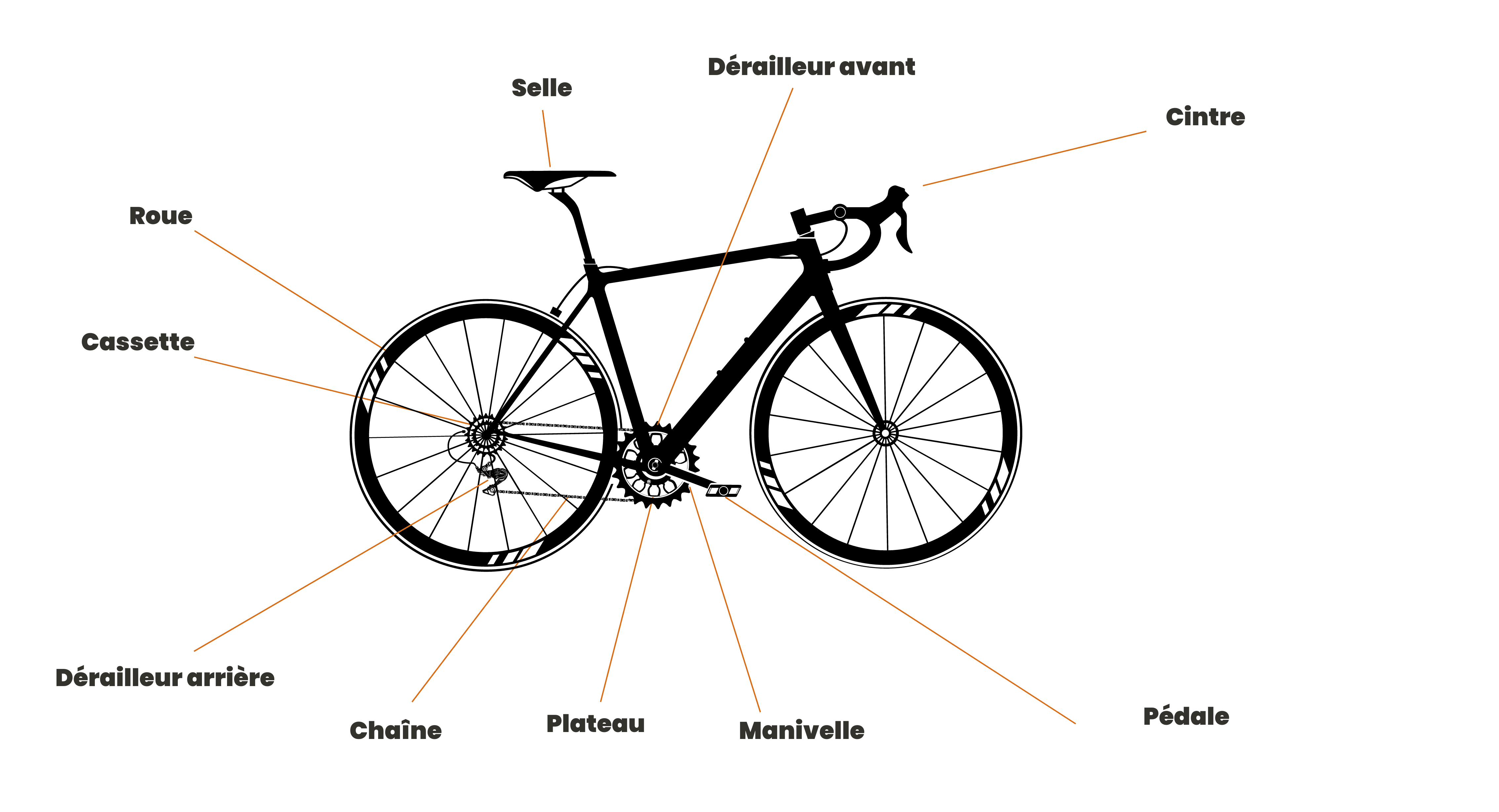 Schéma vélo de route