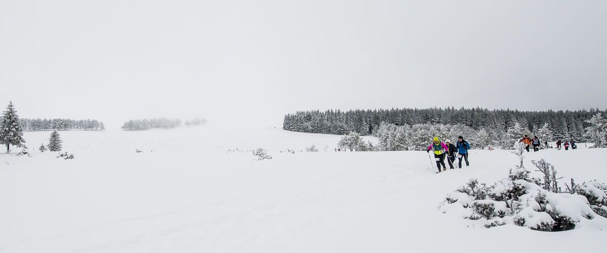 15480-snowtrail-sancy-mont-dore.jpeg