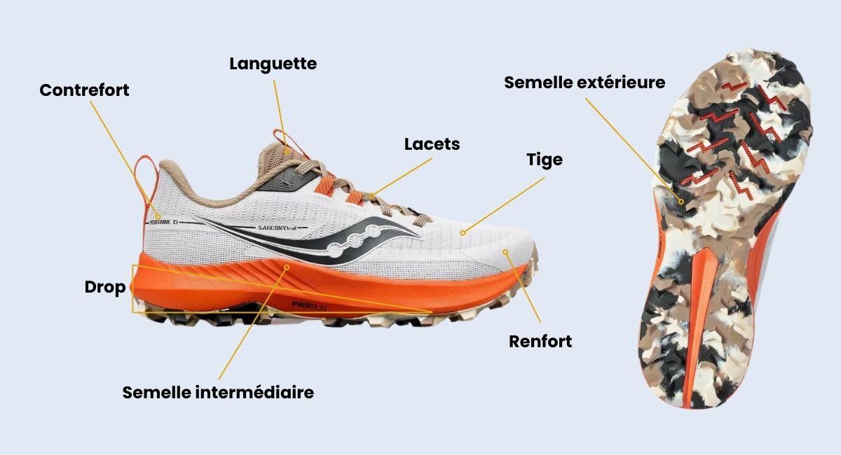 anatomie chaussures de course